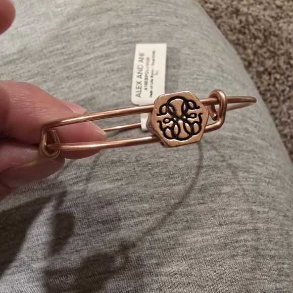 NEW NWT Alex and Ani Path of Life Slider Symbol Bead Charm Bangle Bracelet - Picture 6 of 6